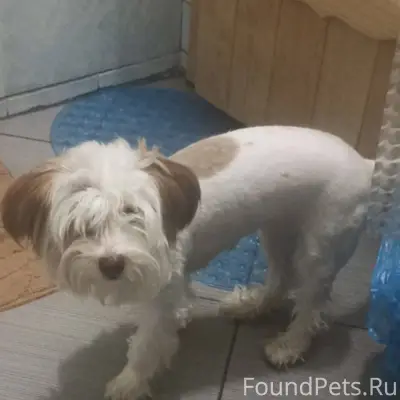 Админ выложи пожалуйста, очень...