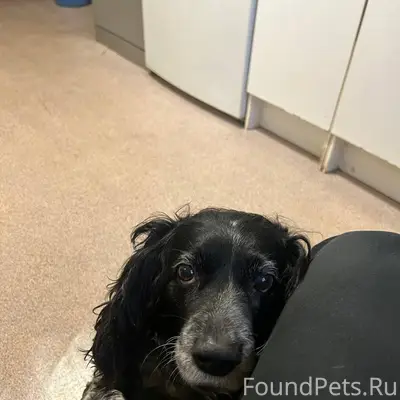 Здравствуйте! В д. Лемовжа 03....