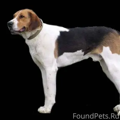 15.01.2026 в районе деревни...