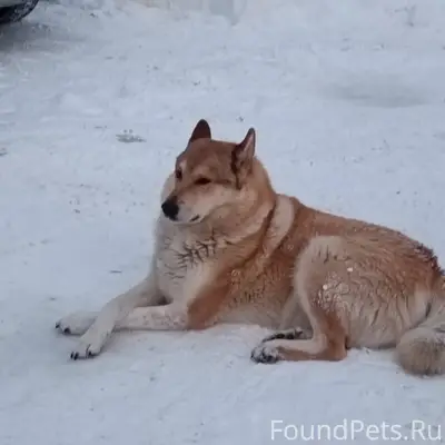 Второй день, практически на од...