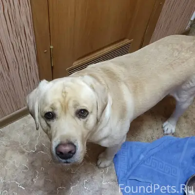 Вчера вечером в районе Текстил...