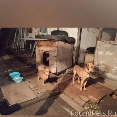 29 декабря при переезде из Нов...