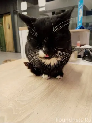 На Московском проспекте 123 на...