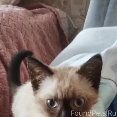 14.01 вечером, на улице Р...