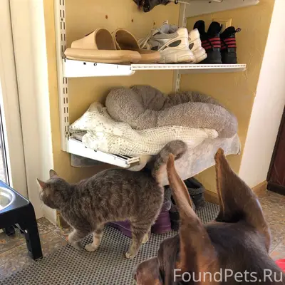 Уважаемые жители нашего поселк...