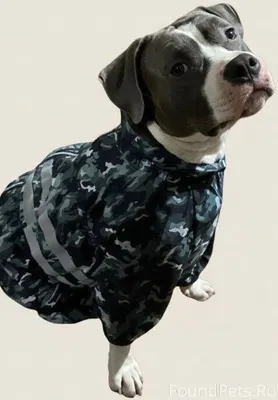 ‍ПОИСКИ ПРОДОЛЖАЮТСЯ ⚠Пропала ...