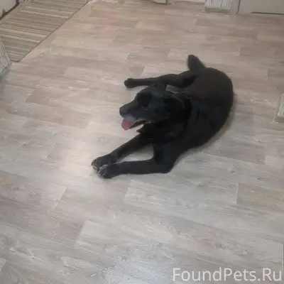 Добрый день . Вчера, 16.01.25....