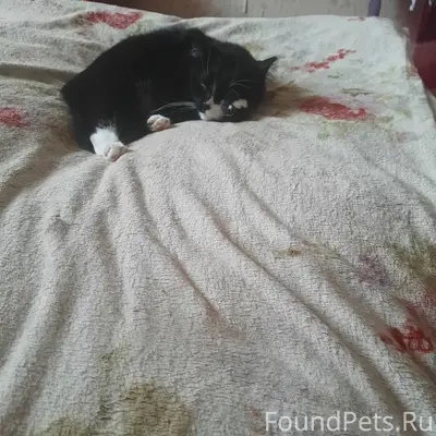 У меня 15.01.26 в...