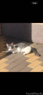 Дорогие жители нашего села! 🆘 ...