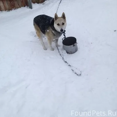В очередной раз убежал наш гул...