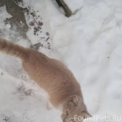 На днях в СНТ "Мелиоратор" поя...