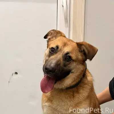 Помогаю информационно! Московс...