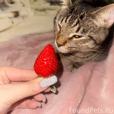 Привет всем, в районе мк. 2...