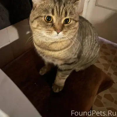 10.01.2026 в районе 9...