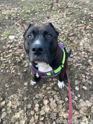 ***‼️ВНИМАНИЕ‼️*** ***. РОЗЫСК...