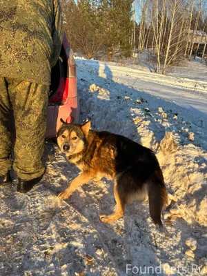 Добрый вечер, недалеко от Сызр...