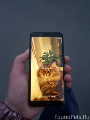 Лето 2025 года.🌅 Гуляли с...