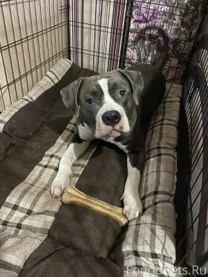 ПОИСКИ ПРОДОЛЖАЮТСЯ ⚠Пропала с...