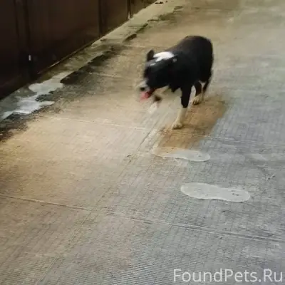 Мурманск. Кто потерял? https:/...