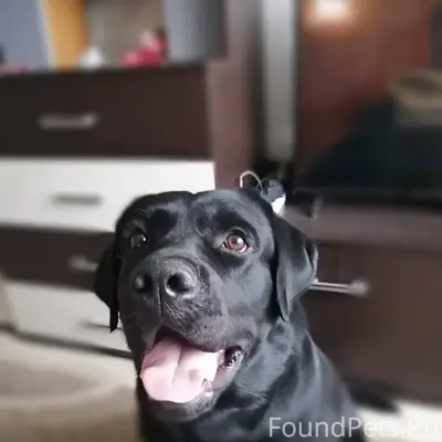 15.01.26 с улицы Коммунистичес...