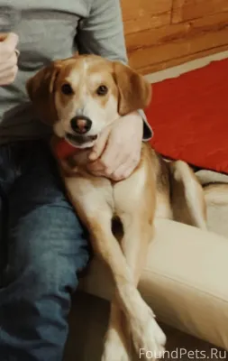 У нас беда, мой муж попал...