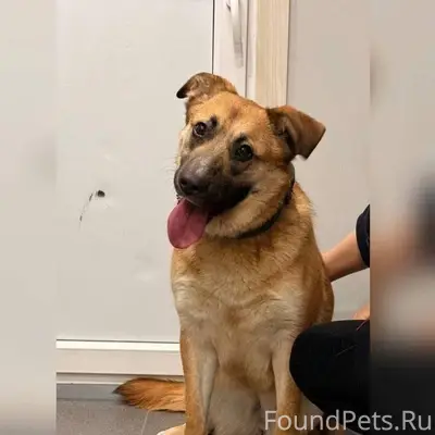 Помогаю информационно... ПРОШУ...