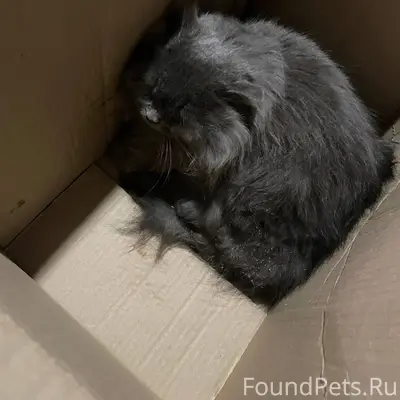 На улице Большая полянка в рай...