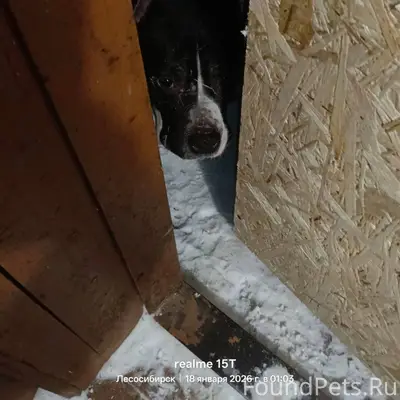 У подъезда ул Промышленная 42 ...