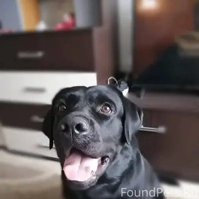 Срочно!!! Максимальный репост!...