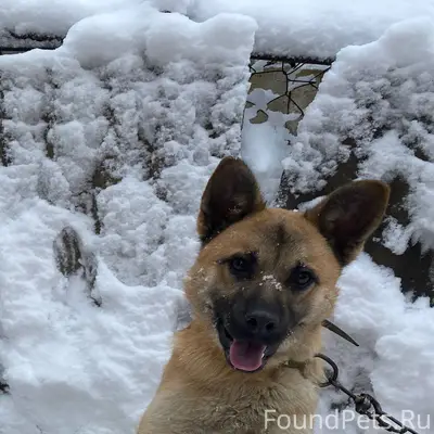 Добрый вечер, вчера убежала со...