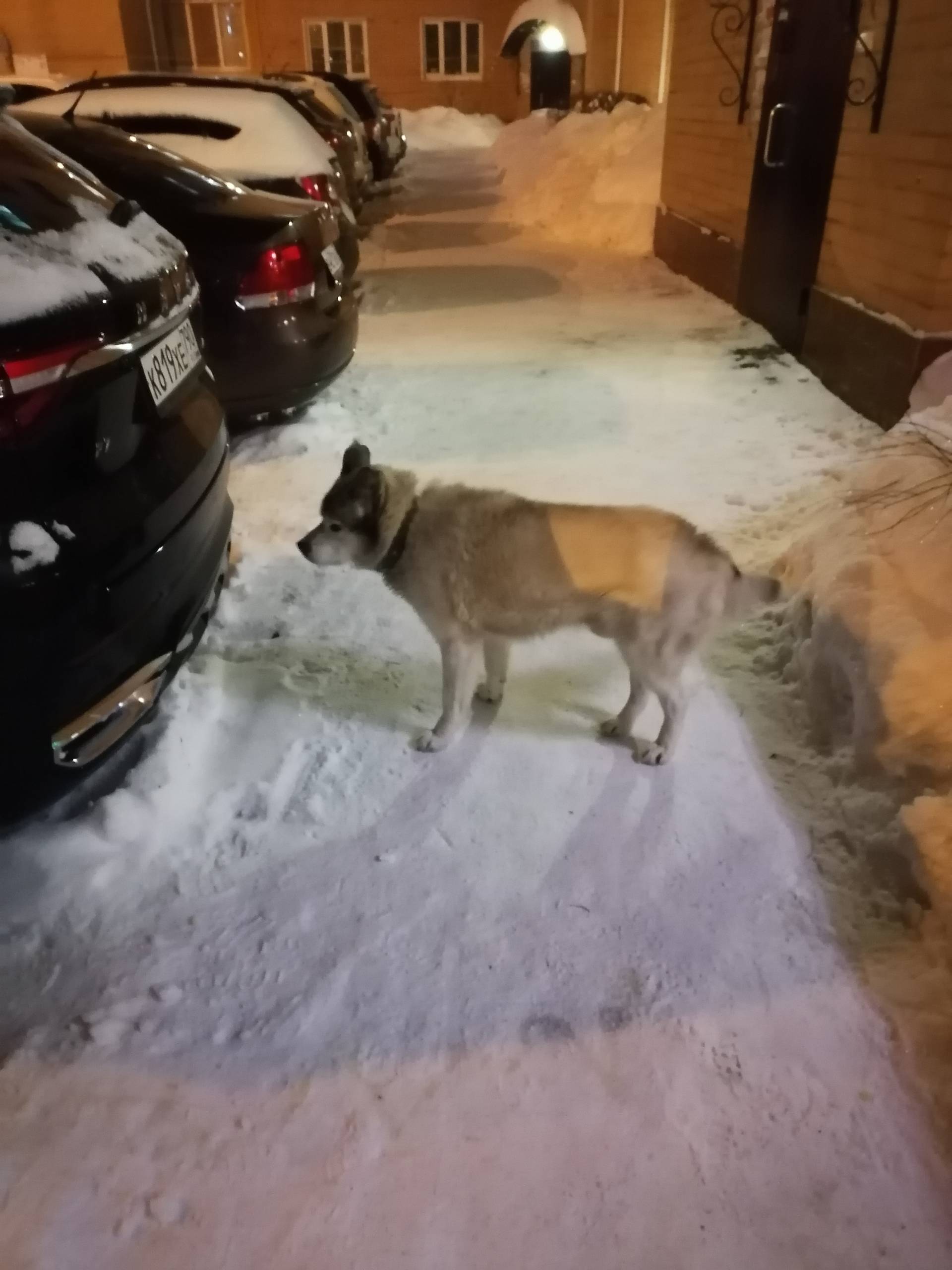 Коломна, Голутвин, 17.01.2026 ...