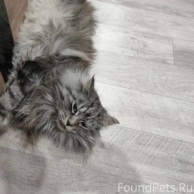 Добрый день. Уважаемые Белоярц...