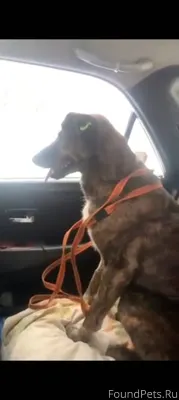 🆘🆘🆘🆘🆘🆘🆘 Просим распространить ...