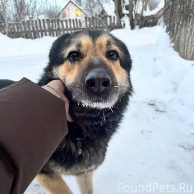 🆘🆘🆘🆘🆘🆘🆘🆘🆘🆘🆘 Продолжаем искать ...