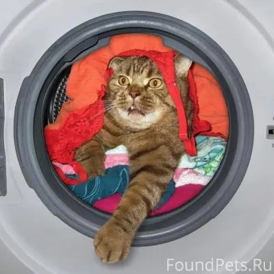 Вчера в моей жизни случилось с...