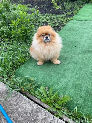 9.01.26 в страшном ДТП...