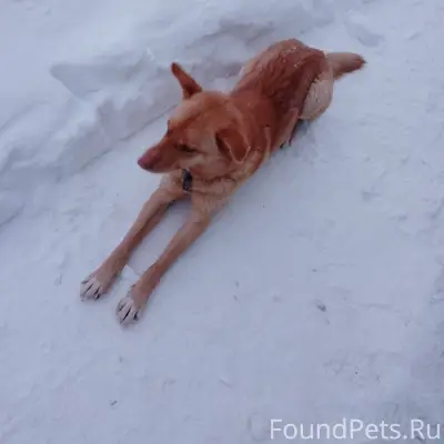 Может кто потерял, скорее всег...