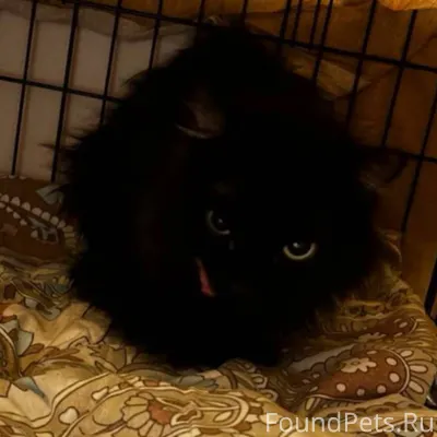 Во вторник, в октябрьском райо...