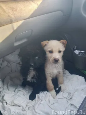 МЕГА СРОЧНО ❗❗❗ ПОМОГИТЕ С ПЕР...