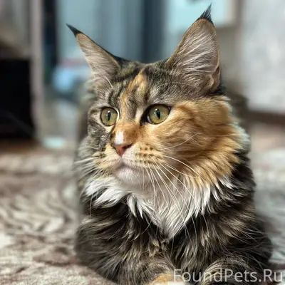 8 января около 21:00 Пропала.....