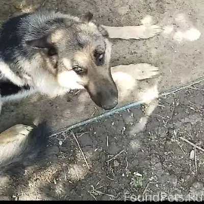 Здравствуйте, к сожалению наша...