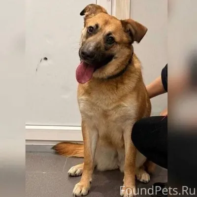 🆘🆘🆘🆘🆘🆘🆘 ПРОШУ МАКСИМАЛЬНЫХ РЕП...