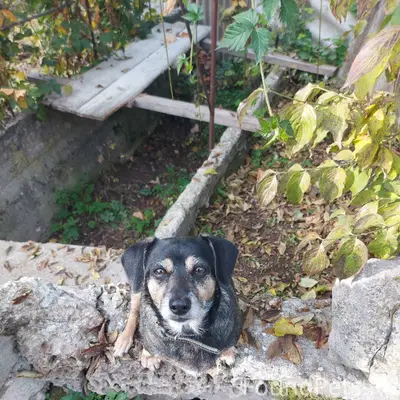 В пгт Куйбышево в районе улицы...