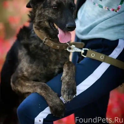 Крым! Максимальный репост!Помо...