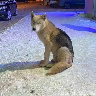 Просто крик души! 🆘Алексеевцы,...