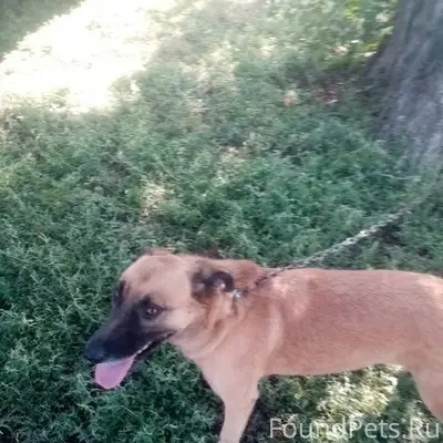 Астрахань! Срочно! Помогите на...