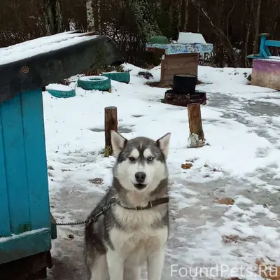 Здравствуйте, кто видел мою со...