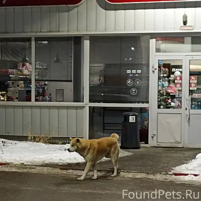 Добрый вечер, разместите, пожа...