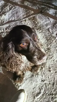 Друзья, прошу максимальный реп...