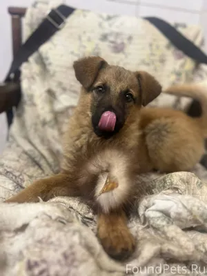 Когда то у меня была мама…...